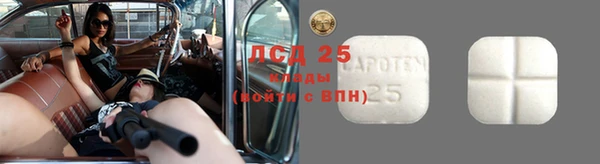 мяу мяу кристалл Вяземский