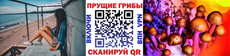 Псилоцибиновые грибы Magic Shrooms  Купить где  Коломна 